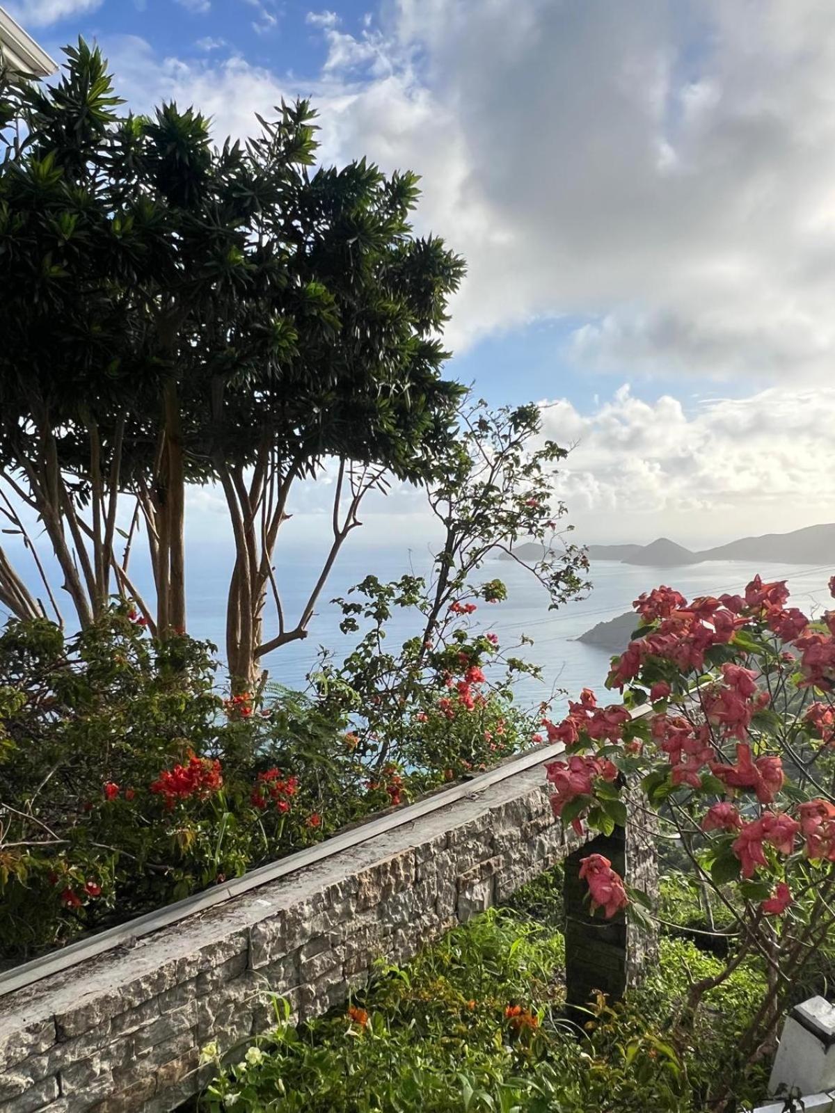 Summervillebvi Road Town  外观 照片